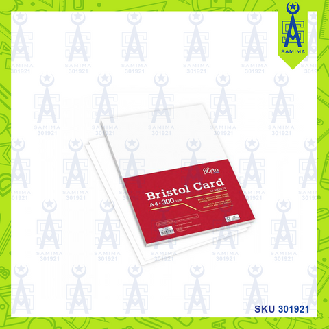 CAMPAP ERTO CR36689 BRISTOL CARD A4 300GSM 12'S /P